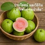 หงเป่าสือ แปลว่า
